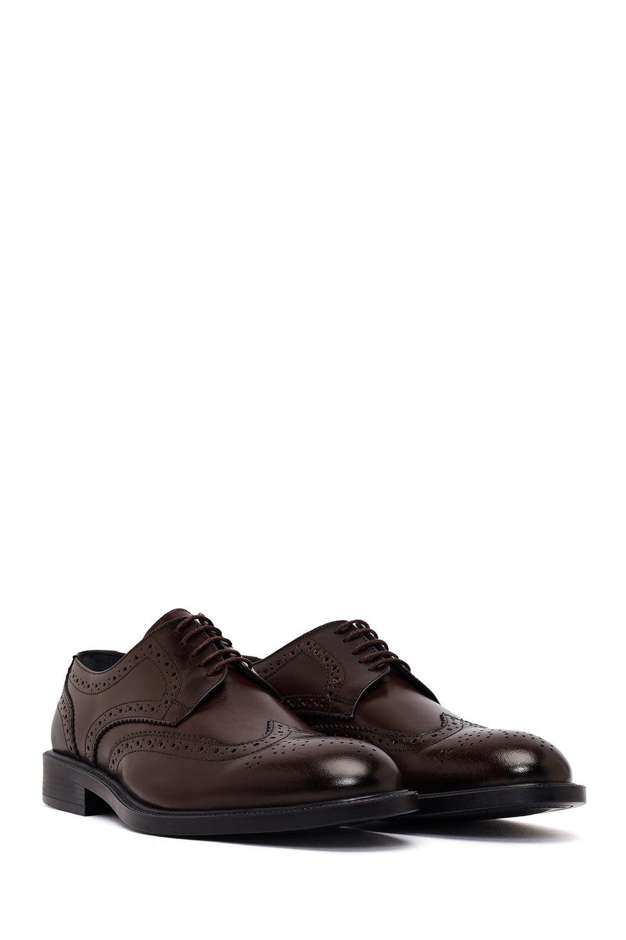 Male Brown Lace-Up Leather Classic Shoes
