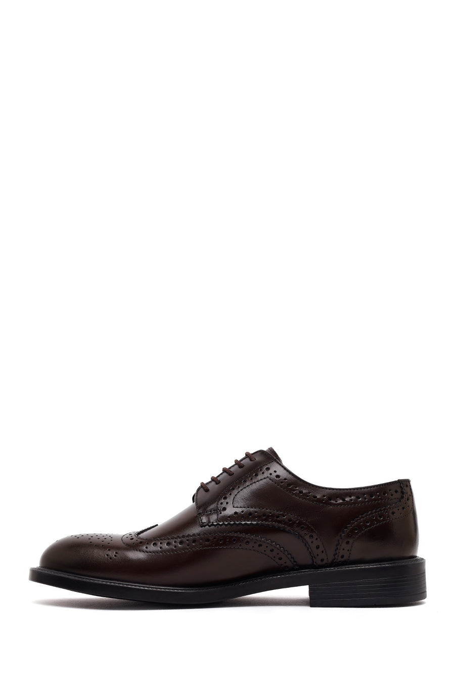 Male Brown Lace-Up Leather Classic Shoes