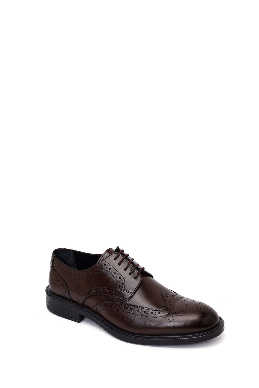 Male Brown Lace-Up Leather Classic Shoes