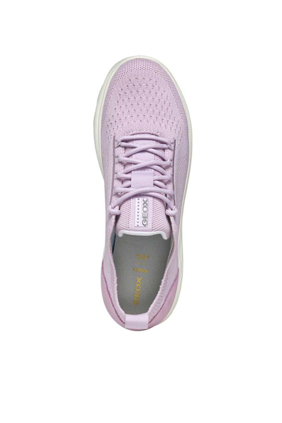 Geox Women Purple D Spherica A - Knitt. Text + Sue Laced Fabric Sneaker