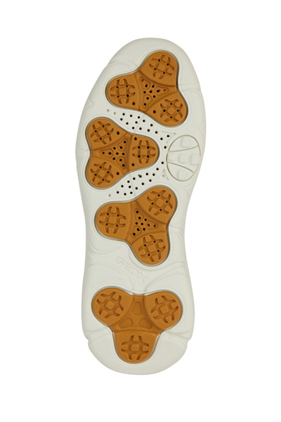 
Geox Women Beige Nebula Lace-Up Thick Sole Leather Sneaker
