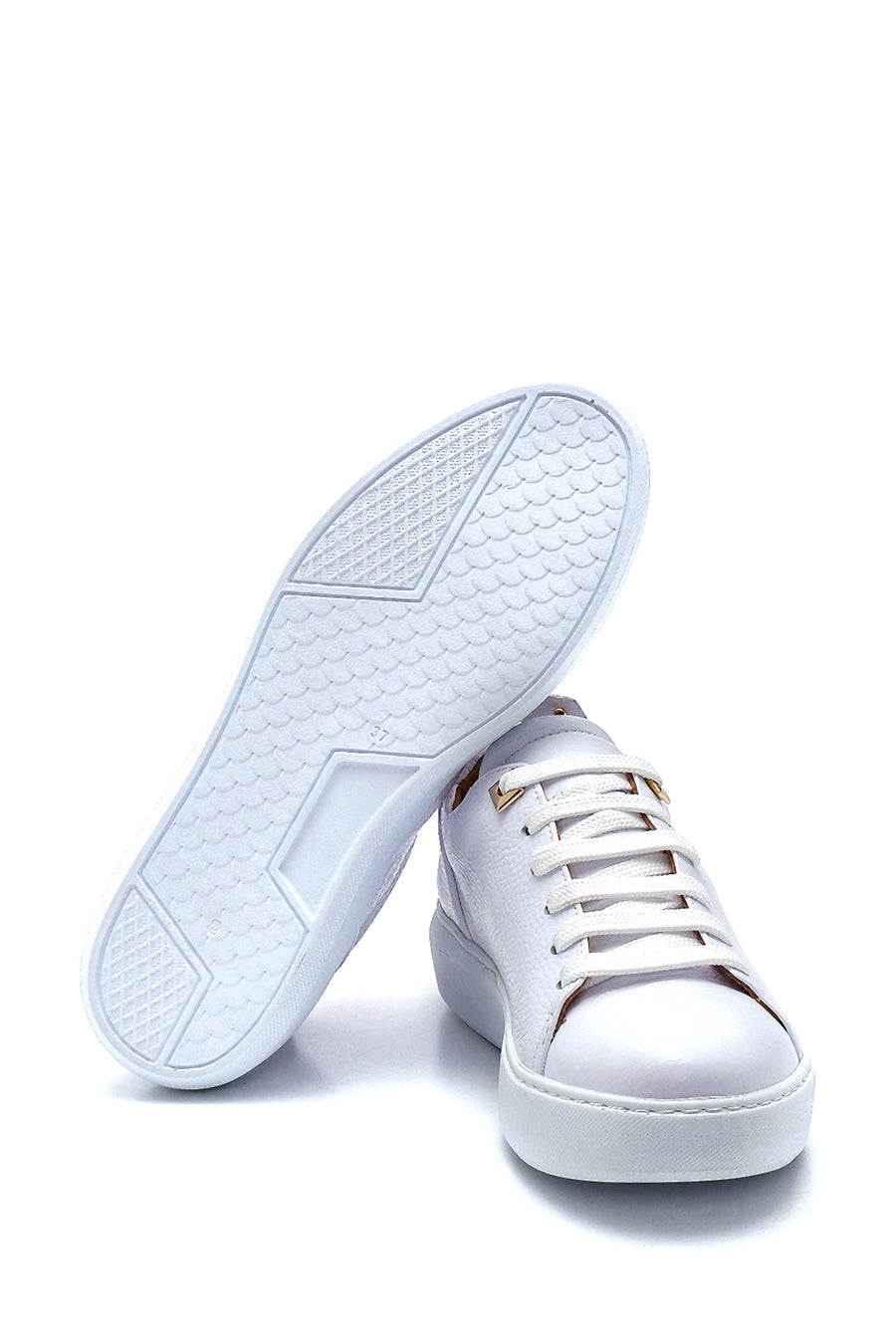 Women's Leather Printed Sneaker