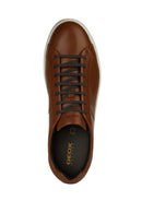 Geox Men's Brown Regio Lace-up Leather Sneaker | Derimod