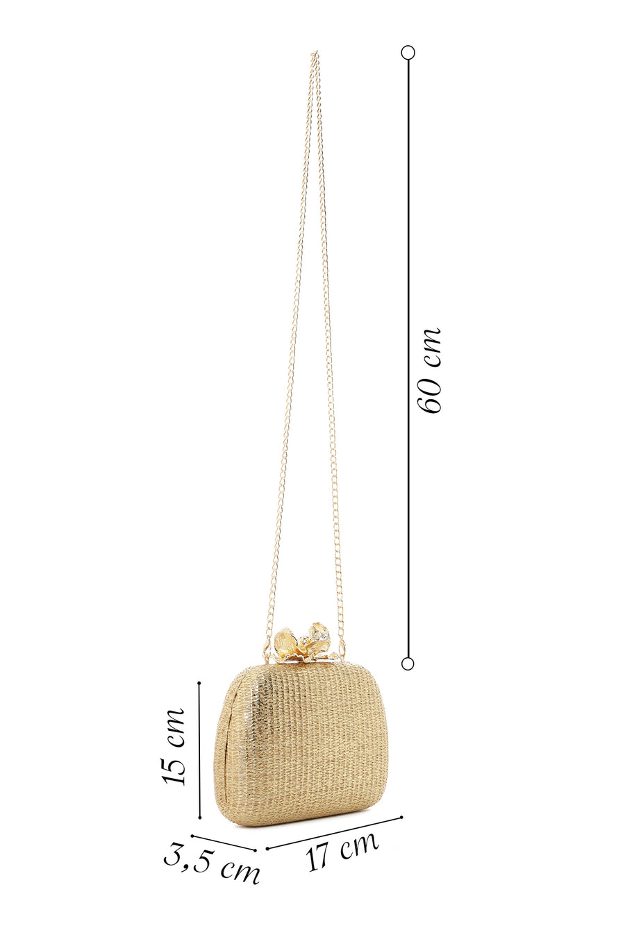 Women's Gold Long Strap Stone Mini Straw Evening Dress Box Clutch Bag