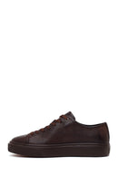 Erkek Kahverengi Bağcıklı Deri Sneaker | Derimod