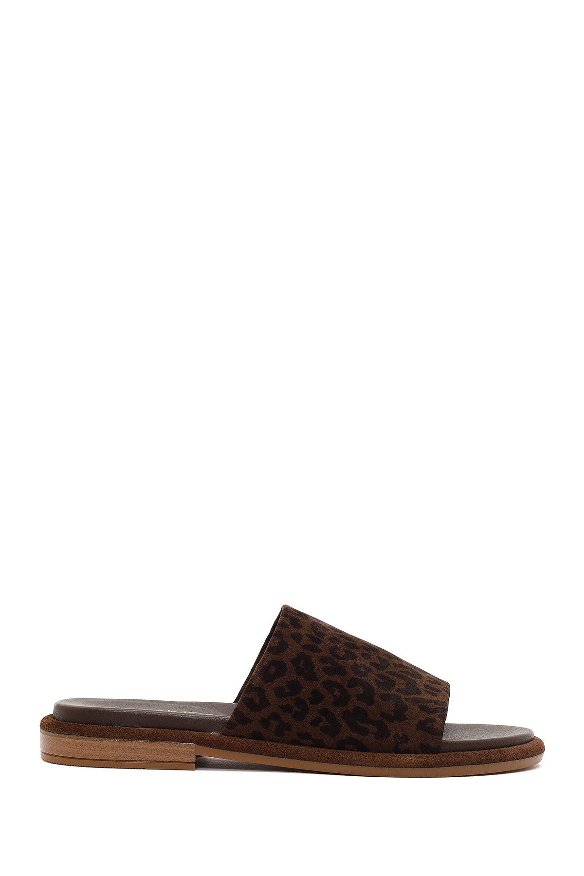 Leopar
